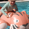 S61KRFTC-TinotheTiger-4623_2.jpg