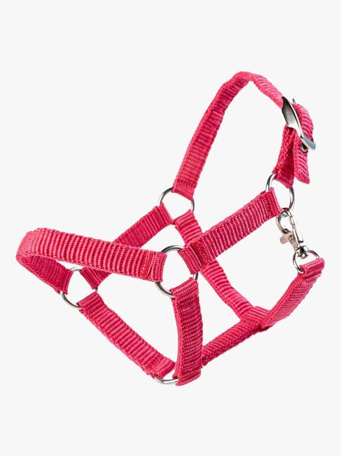 My Hobby Horse Grime, Rosa