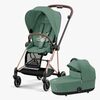 Cybex Mios Duovogn, Leaf Green/Rosegold