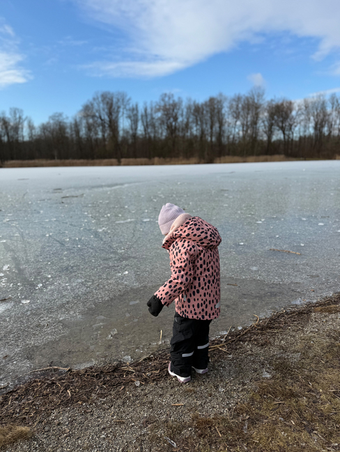 Nordbjørn Zen Vinterjakke, Rosa
