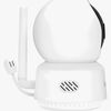 LOCBABYLINE9.1-4235_3b.jpg