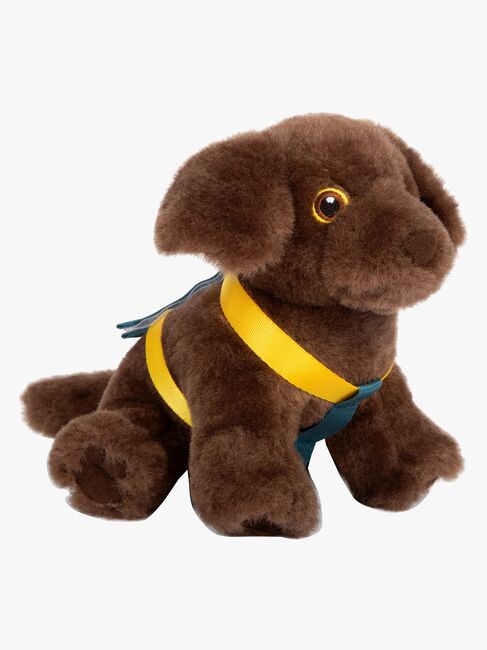 Small Foot Hund med Veske og Pleiesett