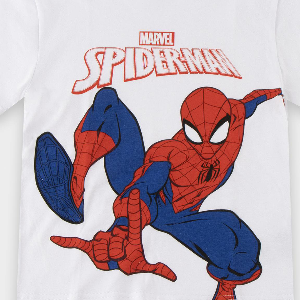 2900003337-SPIDERMAN-4656_4b.jpg