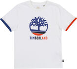 Timberland T-Shirt, White