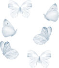 That's Mine Wallsticker Butterfly 6-pack, Blue