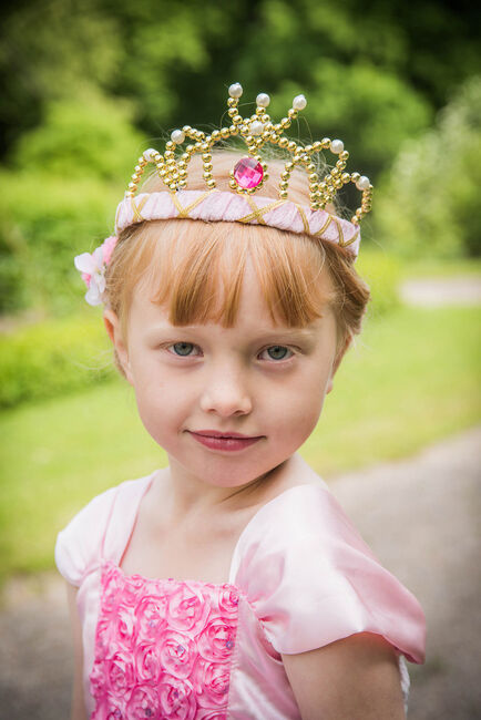Den Goda Fen Kostyme Tiara Fløyel, Rosa