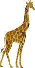 That's Mine Wallsticker Giraffe