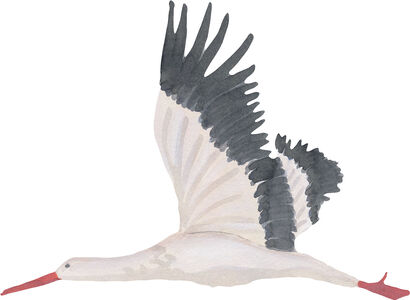 That's Mine Wallsticker Stork Large, White